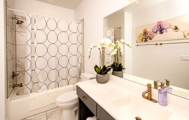 Find Rentals Find Rentals