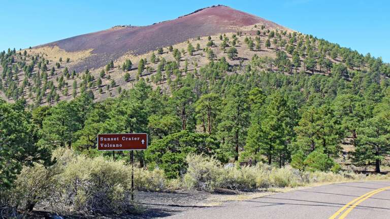 Northern Arizona - Coconino National Forest
