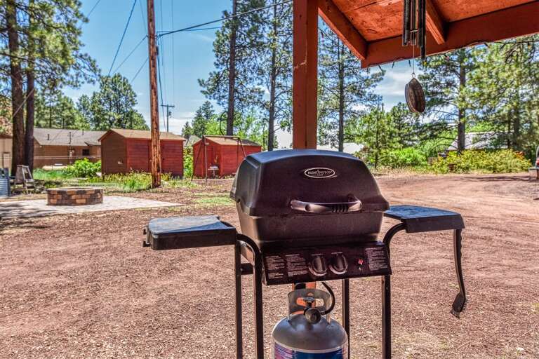 Grill, chill, and enjoy the great outdoors—perfect moments await at this cozy cabin with an outdoor BBQ!