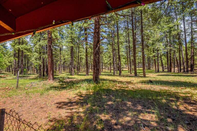 If you like quiet, nature, maybe evening elk grazing through, you will LOVE this place.