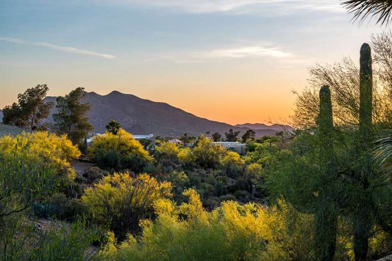 Neighboring Views at The Carefree Crest