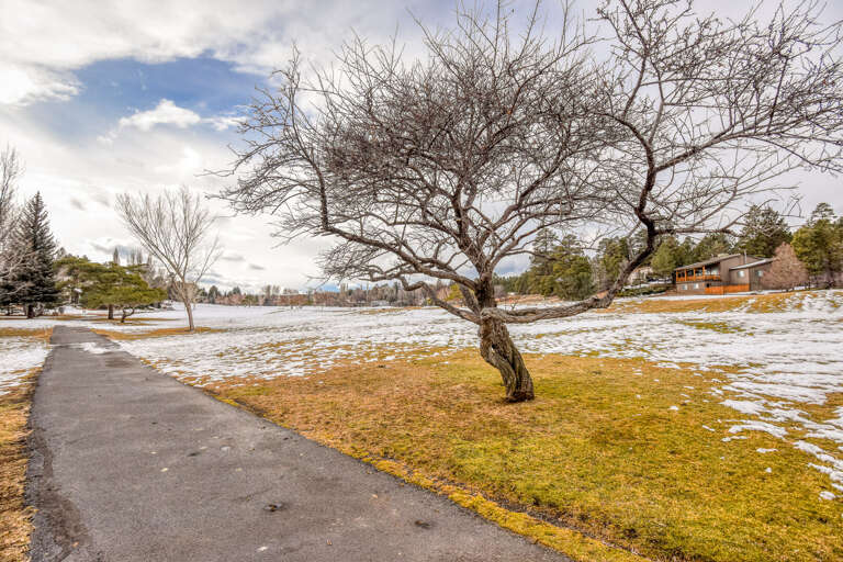 Look how pretty! Look how pretty!