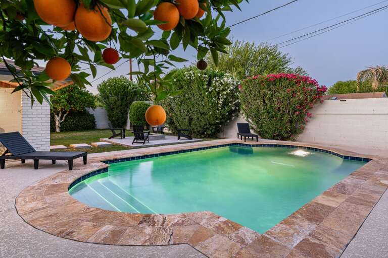 Enjoy fresh oranges from the tree!