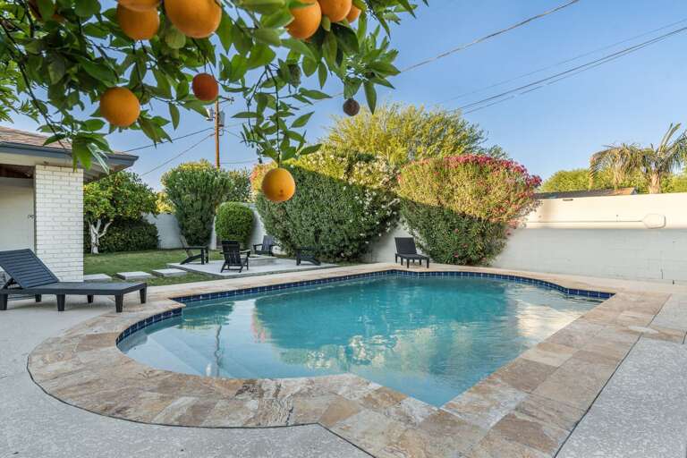 Pick your own fresh oranges off the tree during the orange pick season!