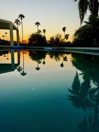 Palm Trees and Pool