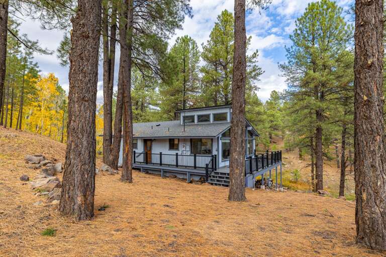 Find Rentals Find Rentals