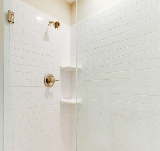Master Bath Shower