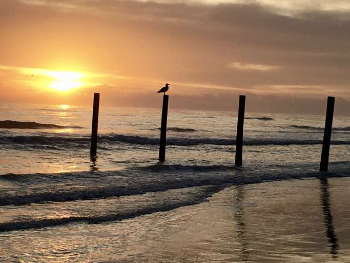 Sunrise view from the balcony of Oceanfront Sanibel 303
