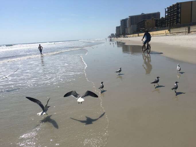 Wide, flat beaches are perfect for bike riding, running, walking, scootering