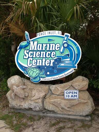 Discover and learn about Florida’s rich marine life – its inhabitants and the ecosystems that make this area unique – at the nearby Marine Science Center.