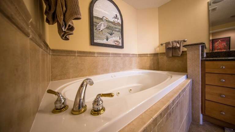 Master Bathroom has oversized jacuzzi with separate walk in shower.