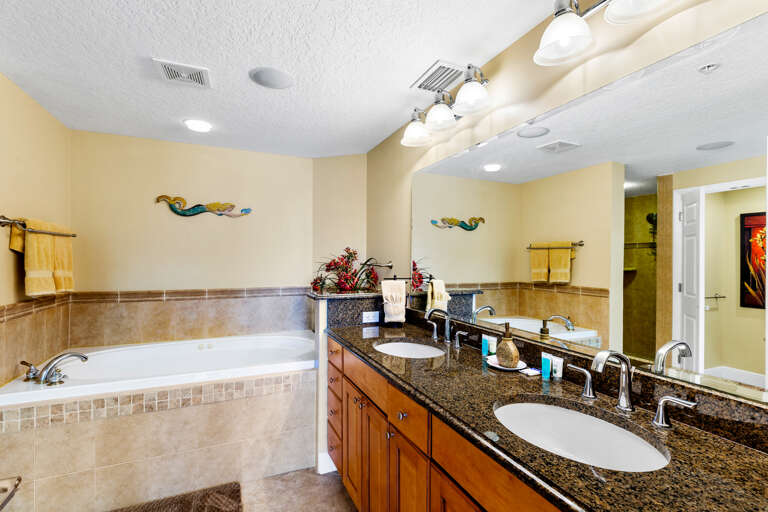 Master bath suite - jacuzzi tub, separate shower,  tile and granite throughout!