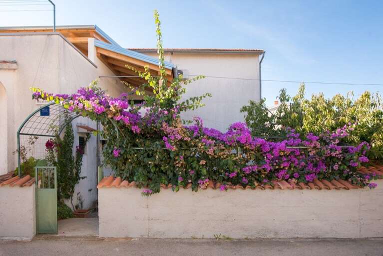 Vodice Rental Rental