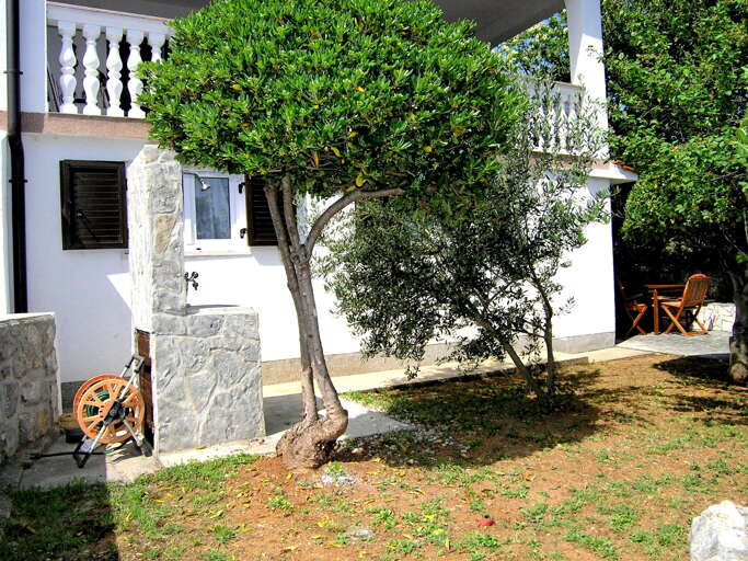 Krk Apartment Rental