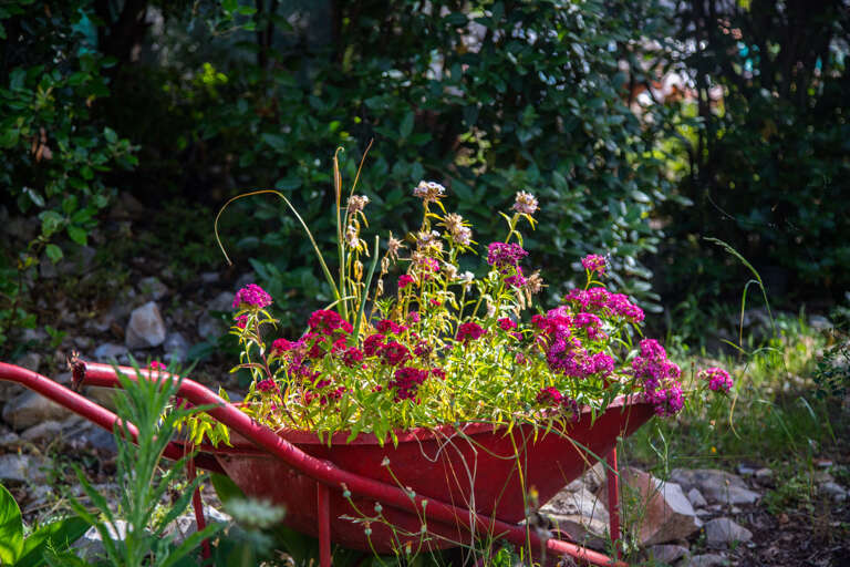 Find Rentals