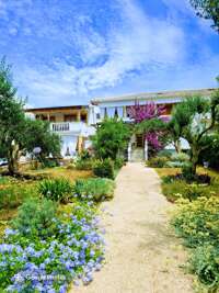 Apartments Sanja