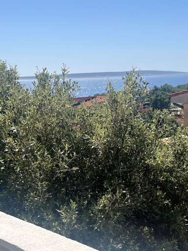 Mandre Apartment Rental
