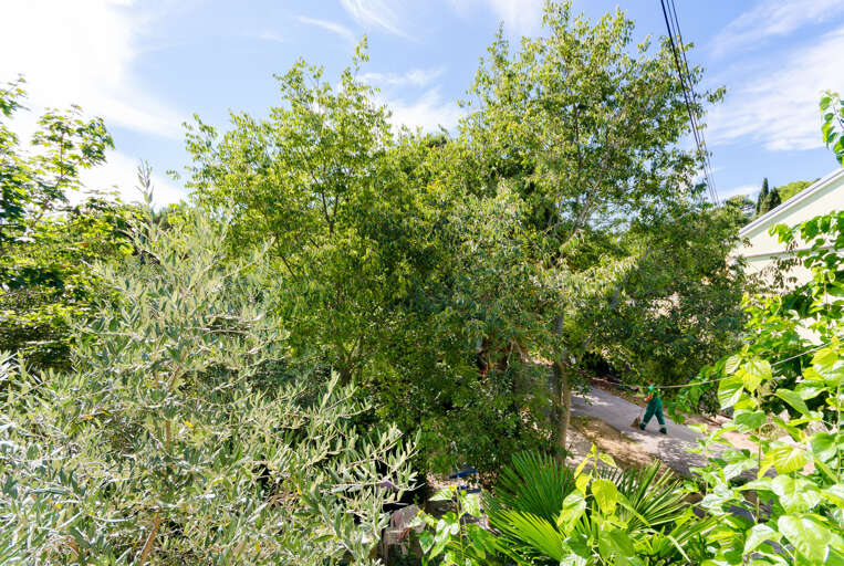 Rovinj Apartment Rental