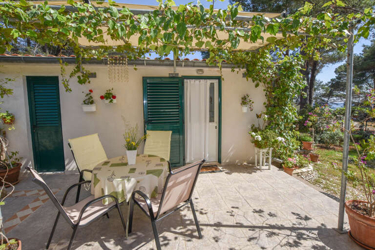 Veli Rat Apartment Rental