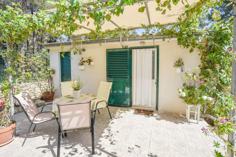 Veli Rat Apartment Rental