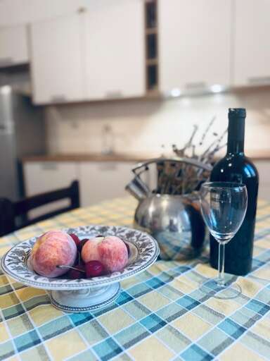 Milna Apartment Rental