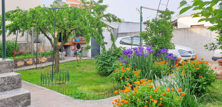Bibinje Apartment Rental