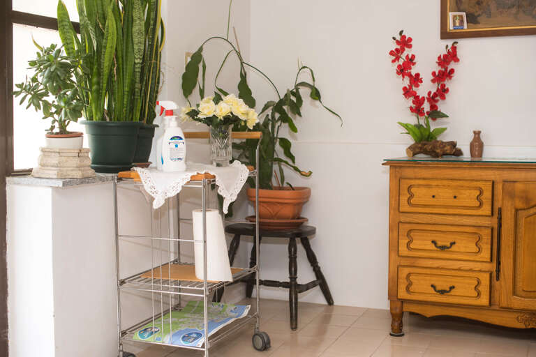 Find Rentals