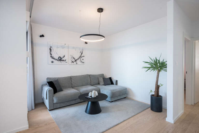Find Rentals