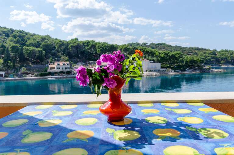 Povlja Apartment Rental