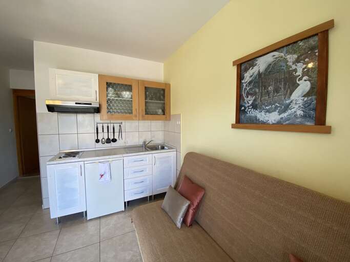 Lumbarda Apartment Rental