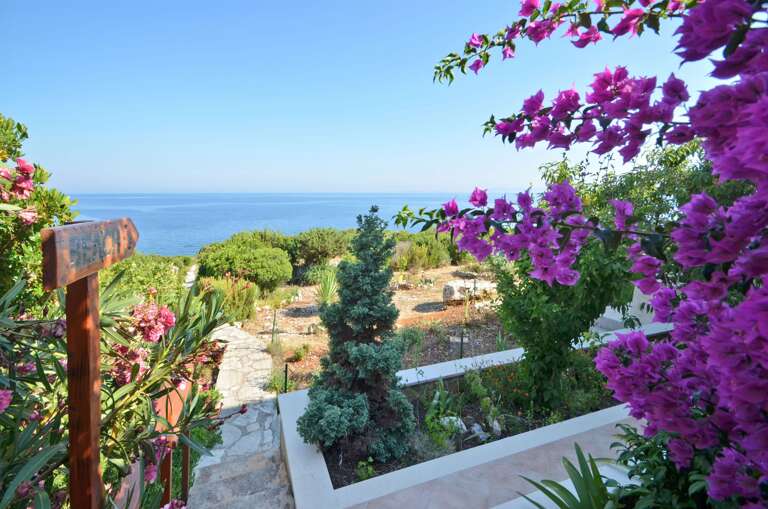 Cara Home Rental