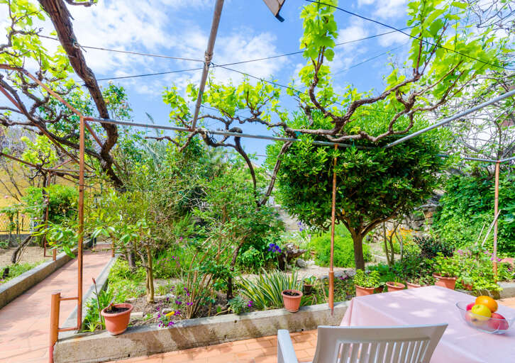 Barbat Na Rabu Apartment Rental
