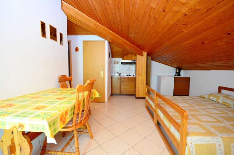 Novigrad Apartment Rental