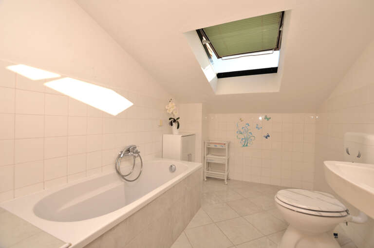 Novigrad Apartment Rental