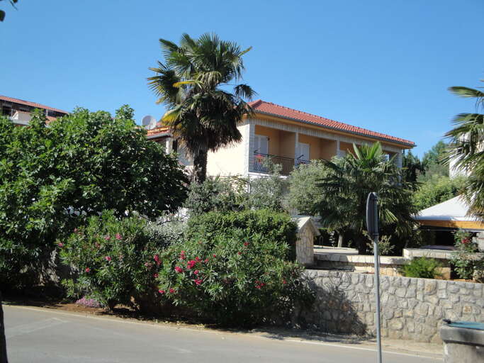 Cizici Apartment Rental