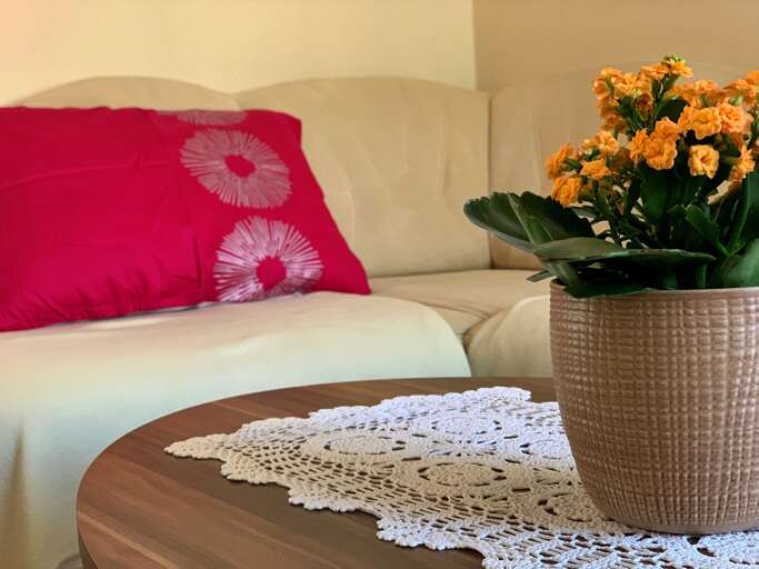 Cizici Apartment Rental