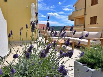 Apartments Pinta de Sol