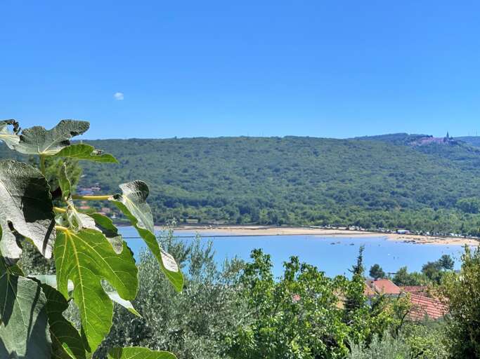Dobrinj Apartment Rental