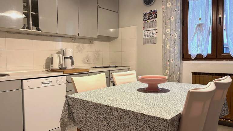 Novigrad Apartment Rental