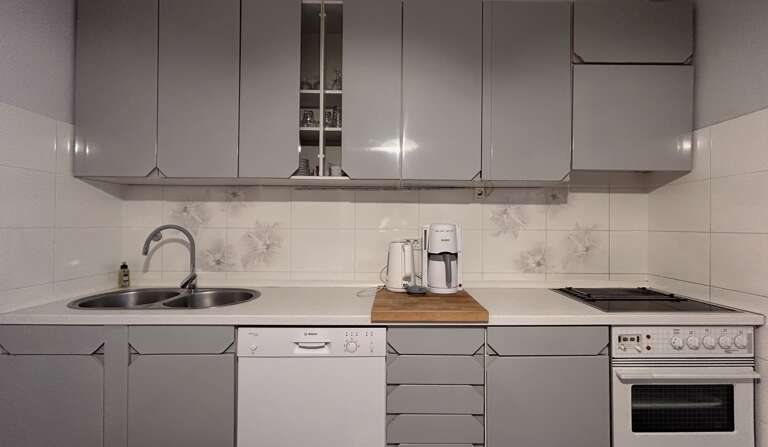 Novigrad Apartment Rental