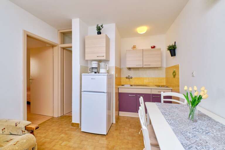 Mali Losinj Apartment Rental
