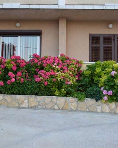 Veli Losinj Apartment Rental