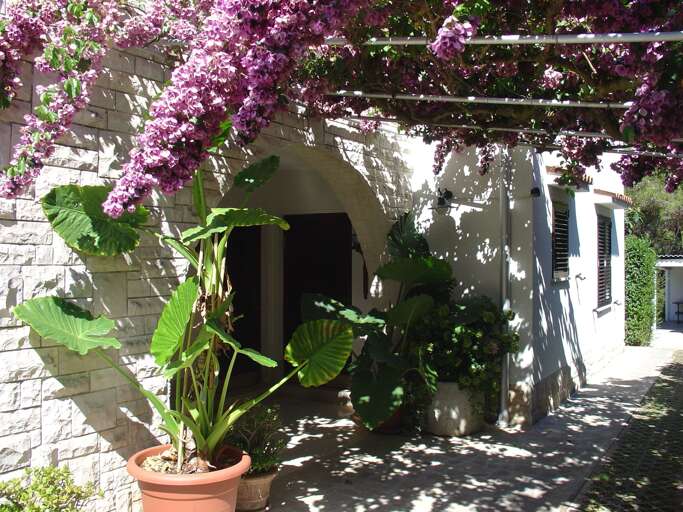 Mali Losinj Apartment Rental