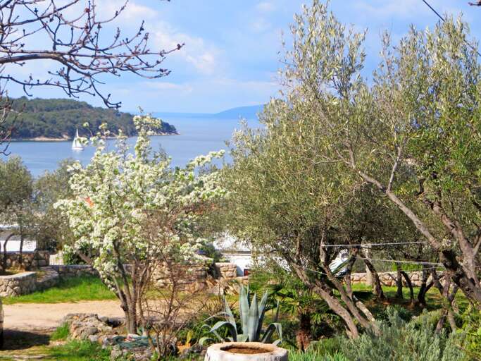 Cres Apartment Rental