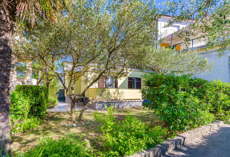 Supetarska Draga Apartment Rental