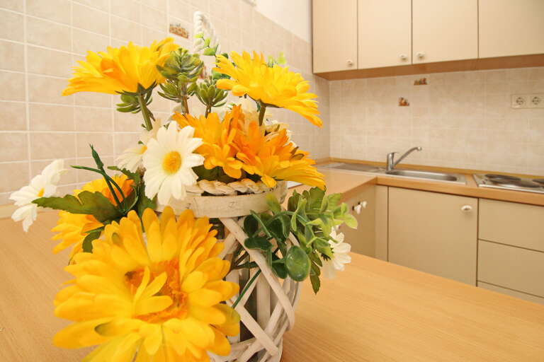 Silo Apartment Rental