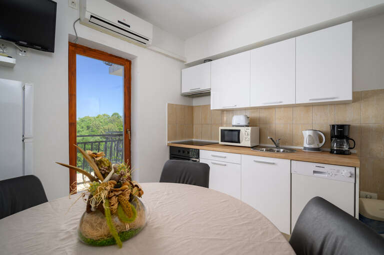 Drenje Apartment Rental
