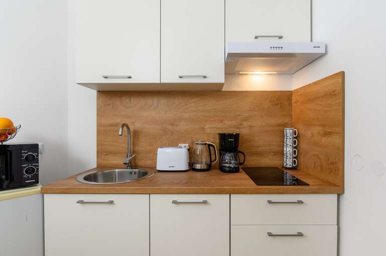 Drenje Apartment Rental