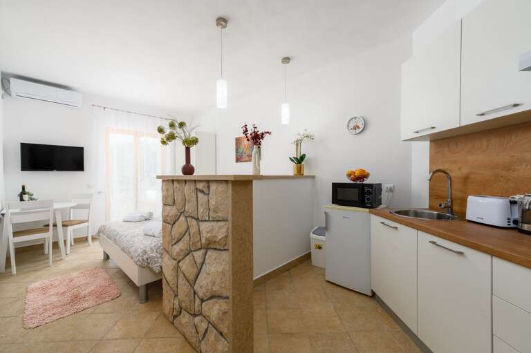 Drenje Apartment Rental