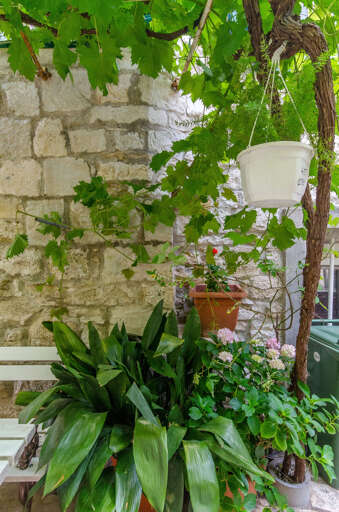 Split Apartment Rental
